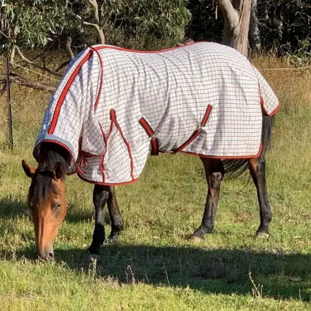 Horse wearing a Rug Red / Black poly cotton combo horse rug