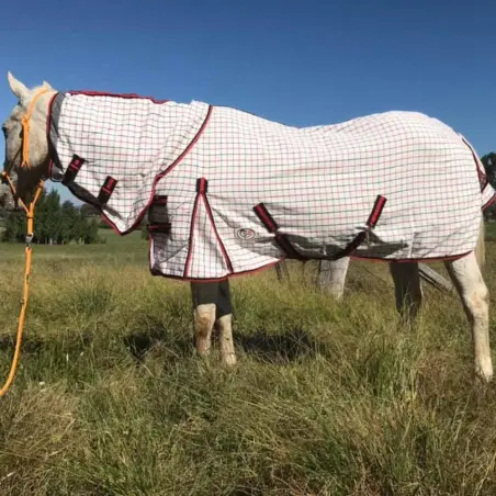 Horse wearing a Rug Red / Black poly cotton combo horse rug