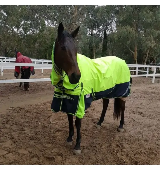 1200D Rainsheet Combo Horse Rugs Lime 5'0, 5'3 only|Horse Rugs | LOVE MY HORSE - Australia