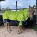 1200D Rainsheet Combo Lime Horse Rugs | LOVE MY HORSE AU