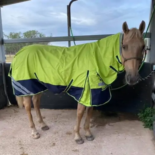1200D Rainsheet Combo Horse Rugs Lime 5'0, 5'3 only|Horse Rugs | LOVE MY HORSE - Australia