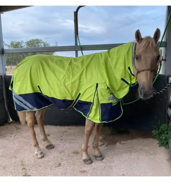 1200D Rainsheet Combo Horse Rugs Lime 5'0, 5'3 only|Horse Rugs | LOVE MY HORSE - Australia