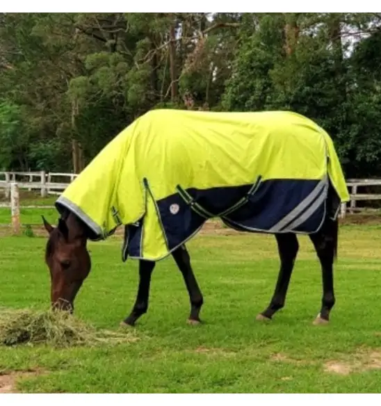 1200D Rainsheet Combo Horse Rugs Lime 5'0, 5'3 only|Horse Rugs | LOVE MY HORSE - Australia
