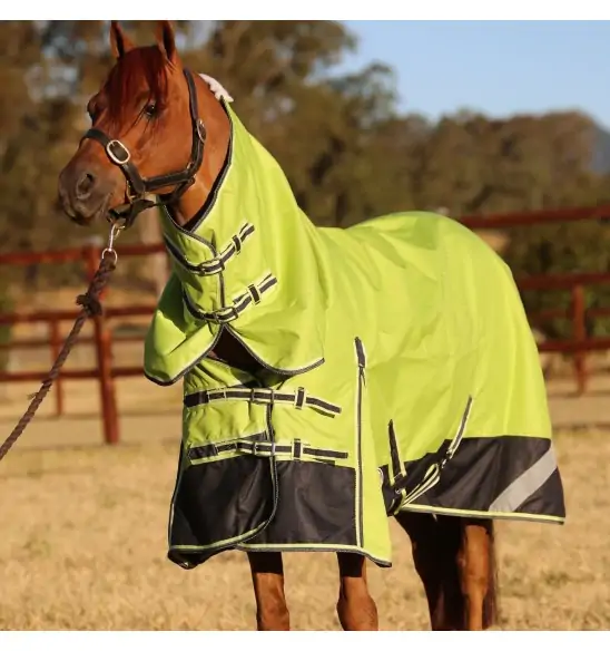 1200D Rainsheet Combo Horse Rugs Lime 5'0, 5'3 only|Horse Rugs | LOVE MY HORSE - Australia