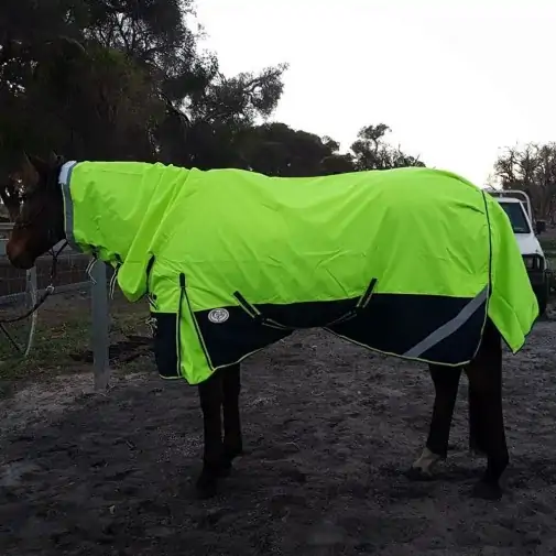 1200D Rainsheet Combo Horse Rugs Lime 5'0, 5'3 only|Horse Rugs | LOVE MY HORSE - Australia