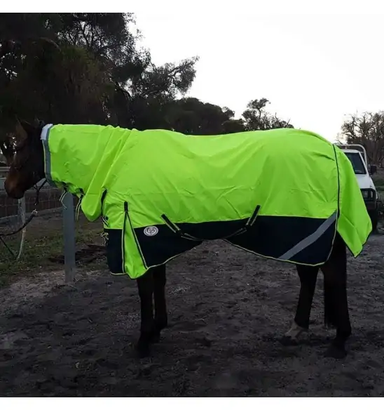 1200D Rainsheet Combo Horse Rugs Lime 5'0, 5'3 only|Horse Rugs | LOVE MY HORSE - Australia