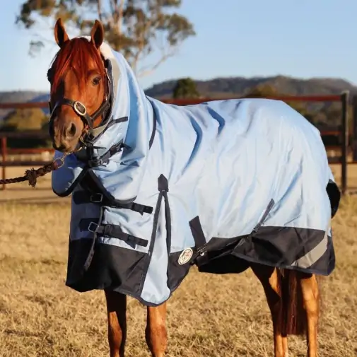 Horse wearing blue Love My Horse 1200 Denier Rainsheet Combo