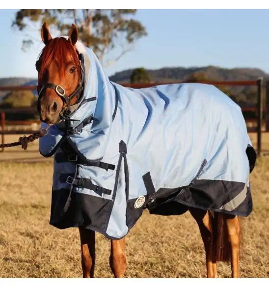 Horse wearing blue Love My Horse 1200 Denier Rainsheet Combo