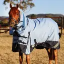 Horse wearing blue Love My Horse 1200 Denier Rainsheet Combo