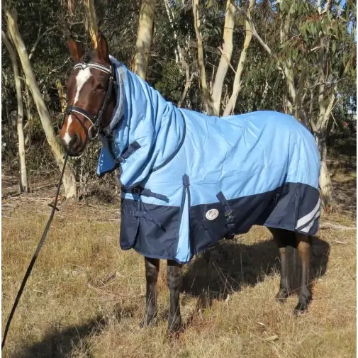 Horse wearing blue Love My Horse 1200 Denier Rainsheet Combo