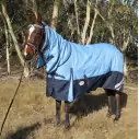 Horse wearing blue Love My Horse 1200 Denier Rainsheet Combo