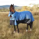 Horse wearing blue Love My Horse 1200 Denier Rainsheet Combo