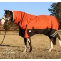Brown horse wearing Love my Horse 1200 Denier Waterproof Rainsheet combo Orange