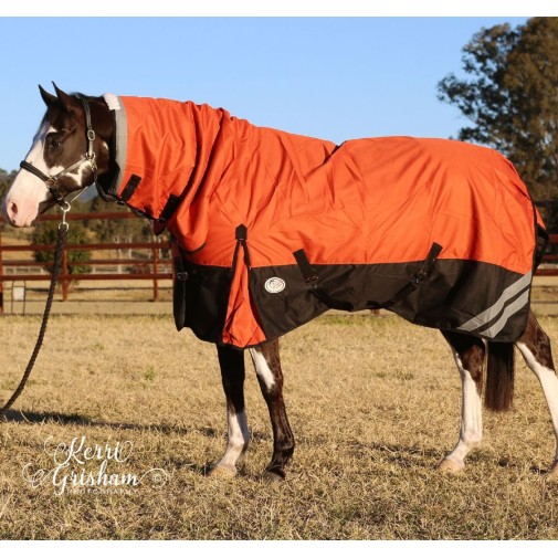 Brown horse wearing Love my Horse 1200 Denier Waterproof Rainsheet combo Orange