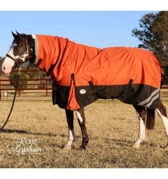 Brown horse wearing Love my Horse 1200 Denier Waterproof Rainsheet combo Orange