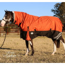 Brown horse wearing Love my Horse 1200 Denier Waterproof Rainsheet combo Orange