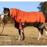 Brown horse wearing Love my Horse 1200 Denier Waterproof Rainsheet combo Orange