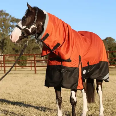 Brown horse wearing Love my Horse 1200 Denier Waterproof Rainsheet combo Orange 2