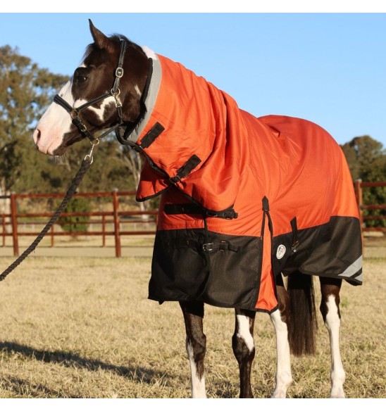 Brown horse wearing Love my Horse 1200 Denier Waterproof Rainsheet combo Orange