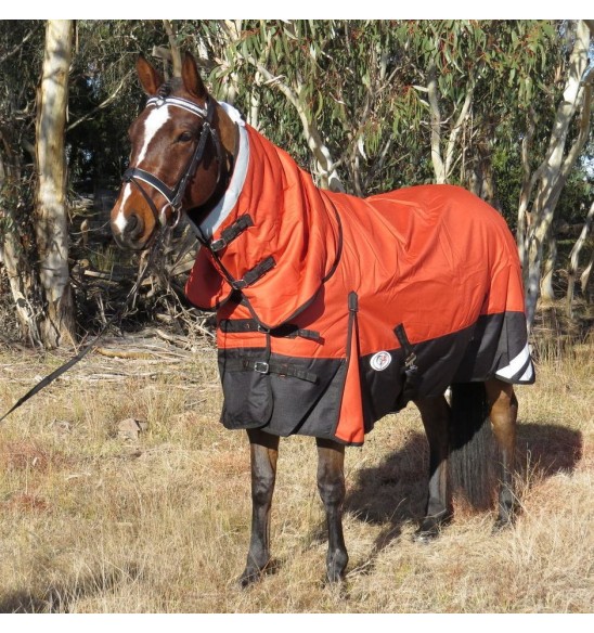 Brown horse wearing Love my Horse 1200 Denier Waterproof Rainsheet combo Orange