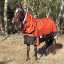 Brown horse wearing Love my Horse 1200 Denier Waterproof Rainsheet combo Orange