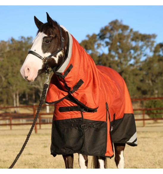 Brown horse wearing Love my Horse 1200 Denier Waterproof Rainsheet combo Orange