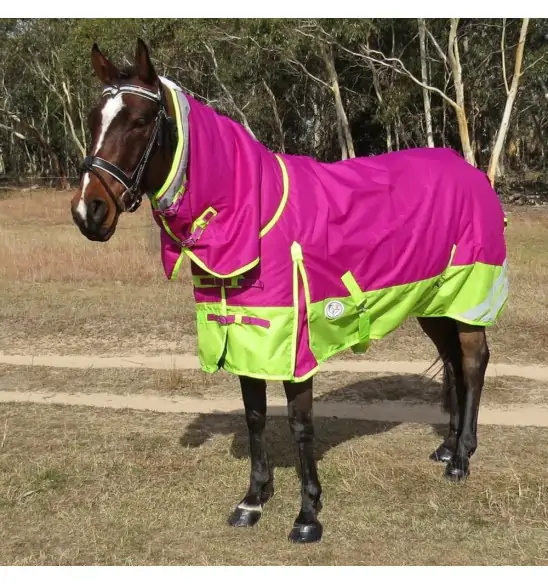 Rain Sheet Combo Horse Rugs Pink|Horse Rugs | LOVE MY HORSE - Australia