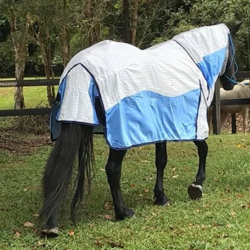 Cotton Mesh Hybrid Combo Horse Rugs Blue - 5'0|Horse Rugs | LOVE MY HORSE - Australia