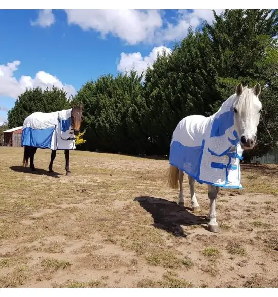 Cotton Mesh Hybrid Combo Horse Rugs Blue - 5'0|Horse Rugs | LOVE MY HORSE - Australia