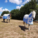 Cotton Mesh Hybrid Combo Horse Rugs Blue - 5'0|Horse Rugs | LOVE MY HORSE - Australia