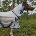 Miniature horse wearing silver dura mesh combo with blue trim