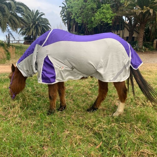 Rainsheet Dura Mesh Hybrid Combo Horse Rugs Purple|Horse Rugs | LOVE MY HORSE - Australia