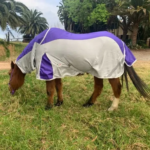 Rainsheet Dura Mesh Hybrid Combo Horse Rugs Purple|Horse Rugs | LOVE MY HORSE - Australia
