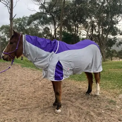 Rainsheet Dura Mesh Hybrid Combo Horse Rugs Purple 2