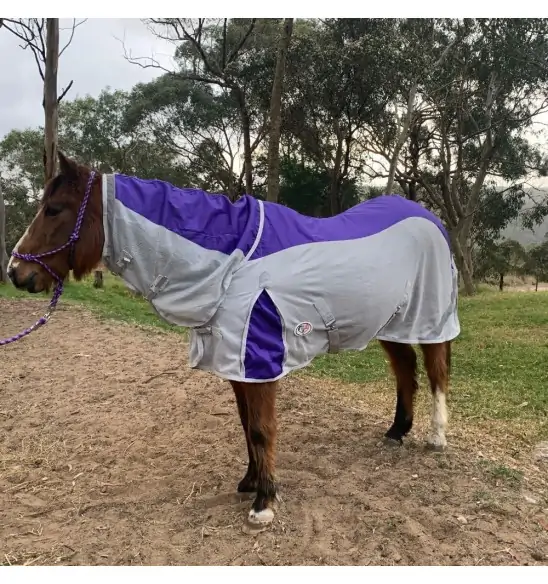 Rainsheet Dura Mesh Hybrid Combo Horse Rugs Purple|Horse Rugs | LOVE MY HORSE - Australia