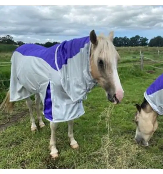 Rainsheet Dura Mesh Hybrid Combo Horse Rugs Purple|Horse Rugs | LOVE MY HORSE - Australia