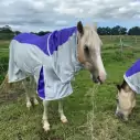 Rainsheet Dura Mesh Hybrid Combo Horse Rugs Purple|Horse Rugs | LOVE MY HORSE - Australia