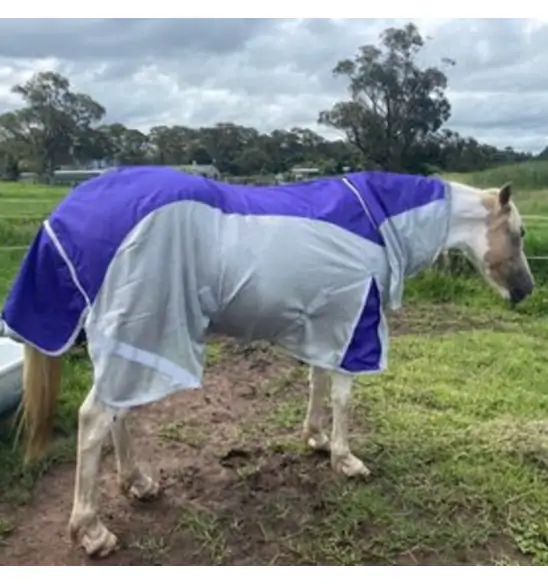 Rainsheet Dura Mesh Hybrid Combo Horse Rugs Purple|Horse Rugs | LOVE MY HORSE - Australia
