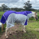 Rainsheet Dura Mesh Hybrid Combo Horse Rugs Purple|Horse Rugs | LOVE MY HORSE - Australia