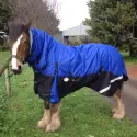 Clydesdale Winter Horse Rug 200g Waterproof Combo | Big Horse Fit