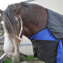 Clydesdale Winter Combo Heavy Horse Rug Blue|Horse Rugs Australia - LOVE MY HORSE