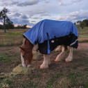 Clydesdale Winter Combo Heavy Horse Rug Blue|Horse Rugs Australia - LOVE MY HORSE