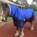 Clydesdale Winter Combo Heavy Horse Rug Blue|Horse Rugs Australia - LOVE MY HORSE