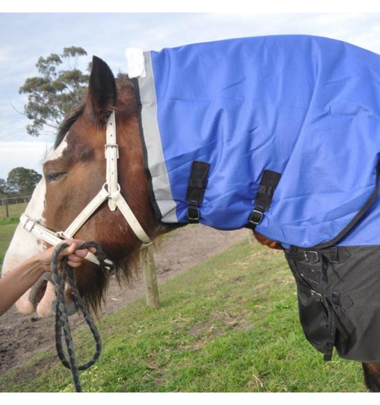 Clydesdale Winter Combo Heavy Horse Rugs Blue|Horse Rugs | LOVE MY HORSE - Australia