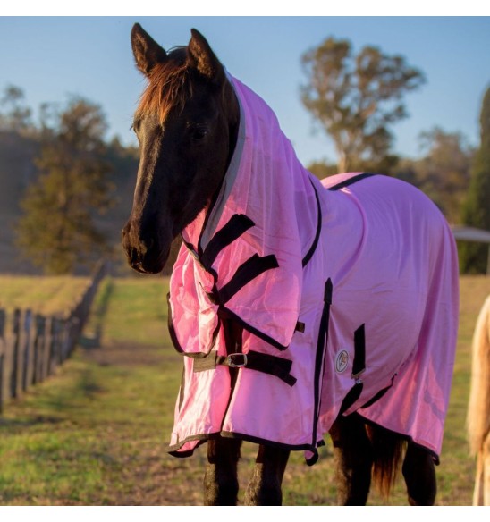 brown horse wearing pink soft mesh combo