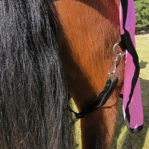 rear leg strap connection of pink mesh horse rug on bay horse