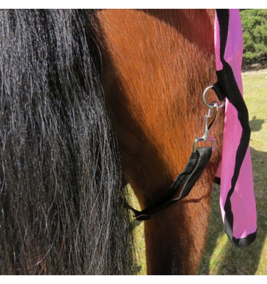 rear leg strap connection of pink mesh horse rug on bay horse