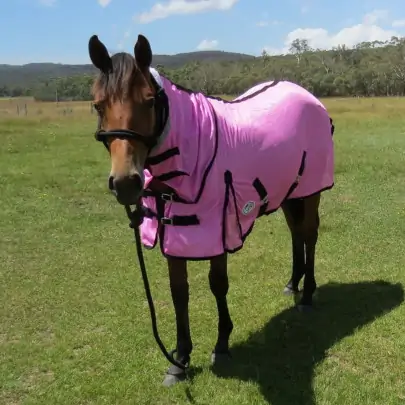 brown horse wearing pink soft mesh combo 2