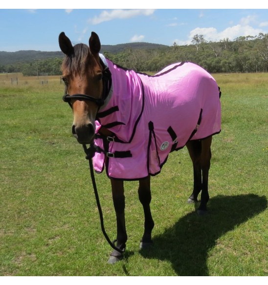 Horse wearing Love My Horse soft mesh combo with black trim