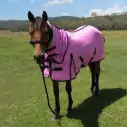 Horse wearing Love My Horse soft mesh combo with black trim